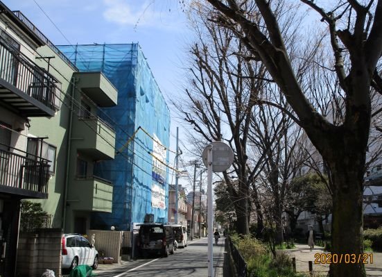 renew.kyodo 遊歩道.jpg