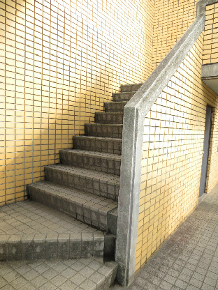 IMG_6961.jpg